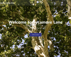 sycamorelaneinc_com